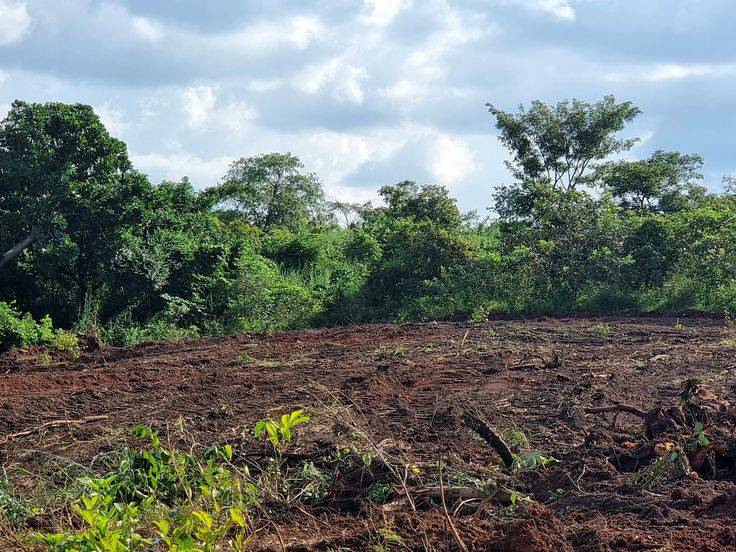 SMART CITY SATELITE TOWN (URBAN PRIME) — Certified ESHDC Land Allocation in Enugu North, Enugu