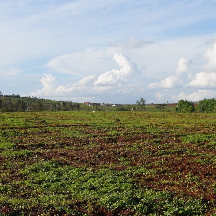 INFINITY ESTATE LOW DENSITY — Certified ESHDC Land Allocation in Enugu North, Enugu