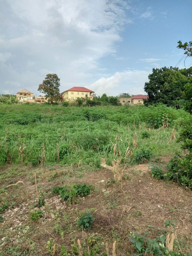 INDUSTRIAL PLOTS (ENUGUONITSHA — Certified ESHDC Land Allocation in Enugu North, Enugu